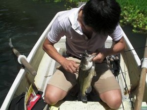 ブラックバス画像