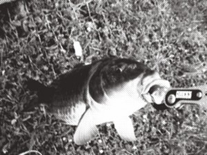 ユーロスタイル？次世代の鯉釣り