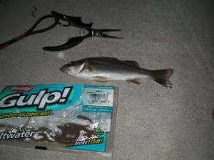 ガルプサンドワームは最強