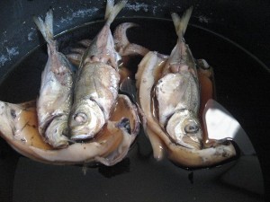 アジとコウイカの煮付けの写真