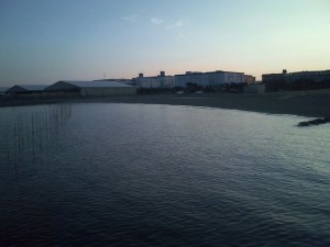 shigasi (3) 東公園砂浜画像2