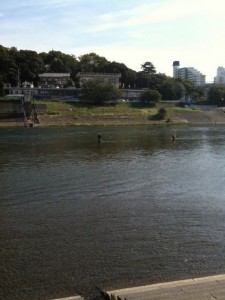 丸子橋のフライアングラー