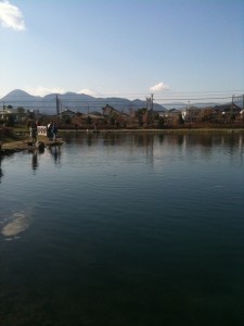 開成フォレストスプリングスから見る富士山