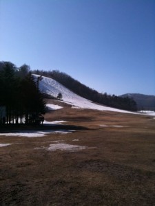 ヒルクライム草津イメージ２