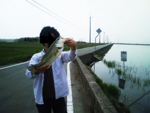 兵庫の皿池で釣ったバス