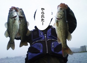 琵琶湖で狙うGWバス