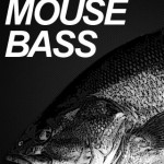 アイフォン用スモールマウスバス壁紙