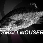 スモールマウスバスの壁紙