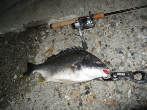 40オーバーのナイスチヌ画像