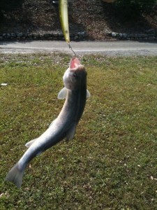 加賀フィッシングエリア画像３