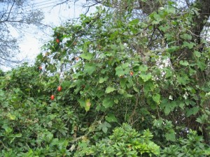 加賀フィッシングエリア画像４