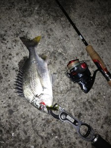 チヌゲームイメージ