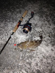 ナイスサイズのガシラの画像