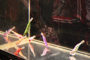 新作エギの水中展示画像