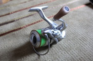 2011カルディアの画像