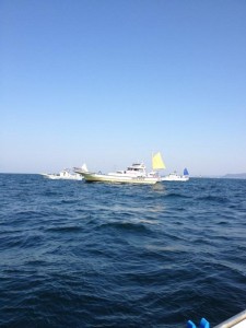 迷走する船、逗子沖の船団画像