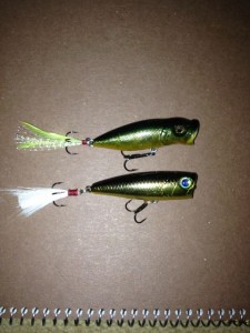 ベビーポッパーとベビーポップX比較画像