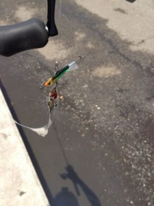 アイスジグで釣った太刀魚の画像