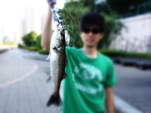 夏の隅田川シーバスゲット画像