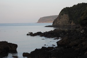 アオリイカが釣れた磯