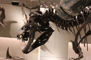 IMG_5014 ティラノサウルス