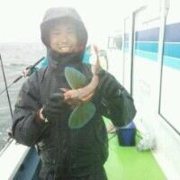 ホウボウをキスで釣る写真