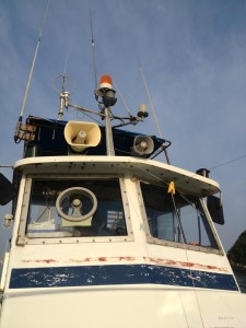 今回は三浦のあたりの船