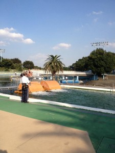 としまえんのプールで釣りイメージ３