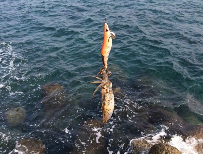 エギンググッズ