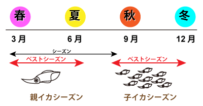 エギングのシーズン図