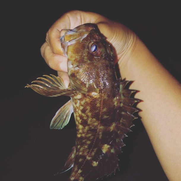 ビッグガッシー