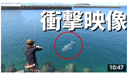 サムネイル画像イメージ