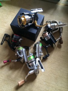 他のリールとステラ