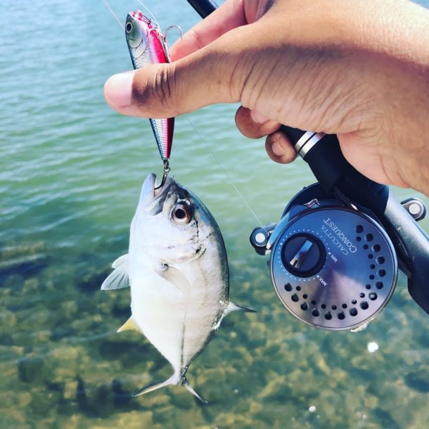 サミー６５で釣ったメッキイメージ