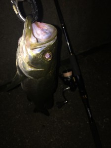 初レバーブレーキシーバス