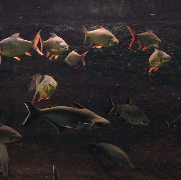 Evernote Camera Roll 20150529 205711