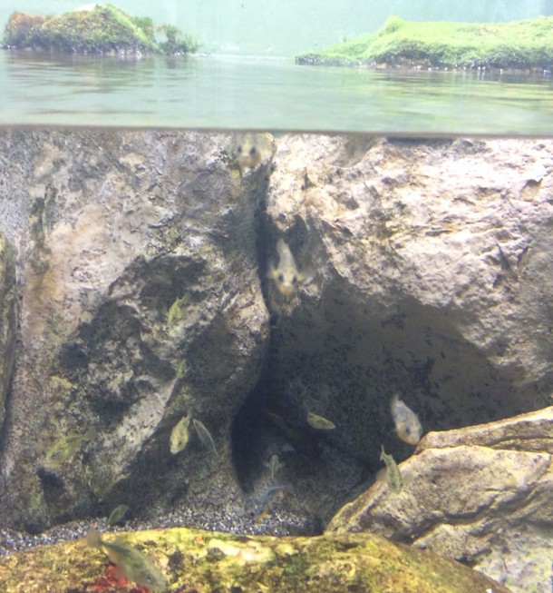 Evernote Camera Roll 20150529 215854