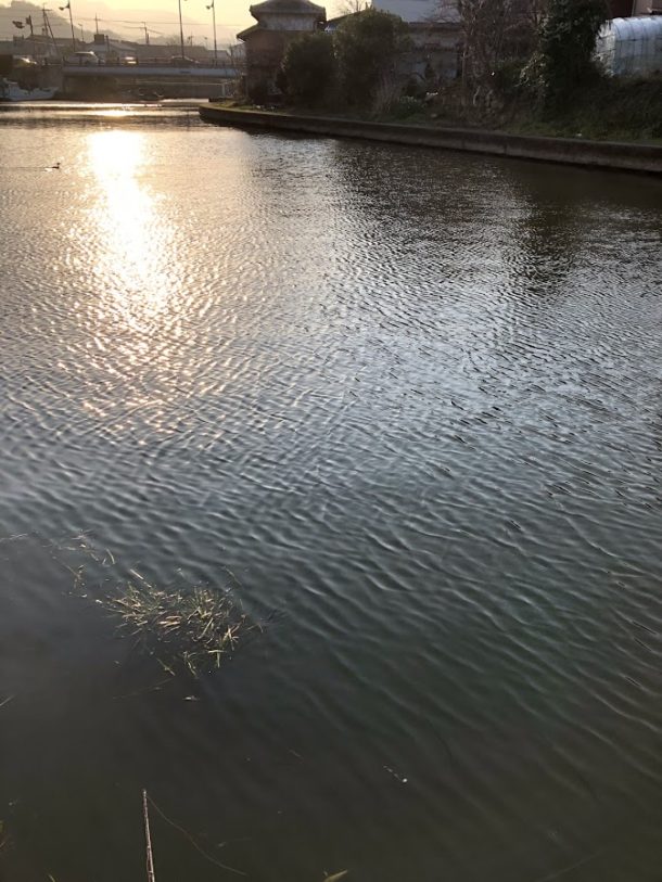 朝チャンスは特に無かった