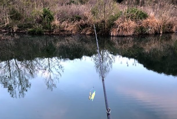 スピーナーベイトを投げまくる