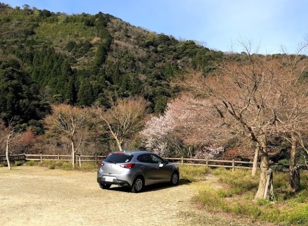 別のダムは大減水