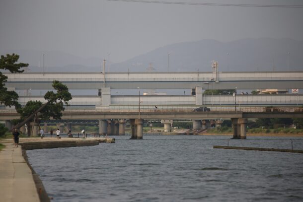 武庫川チニング攻略法と実釣レポート