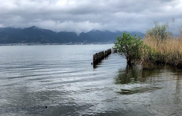 シャローエリア