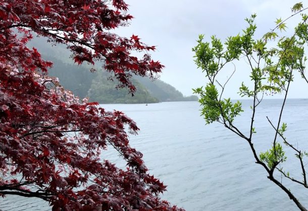 GW開始！奥琵琶湖でバス釣り！