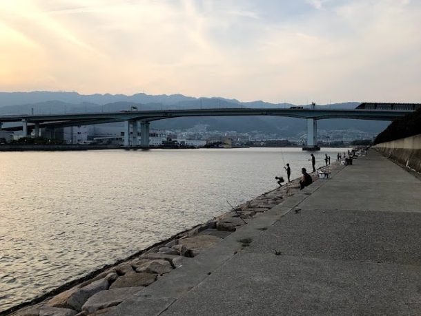 クロダイはどこにいるのか？