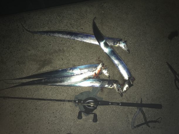 タチウオゲット画像