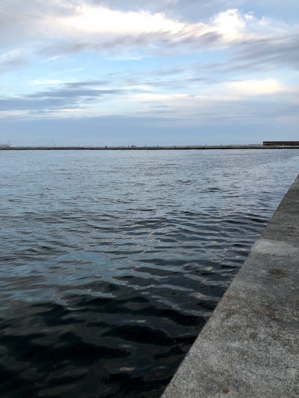 近所の堤防の様子