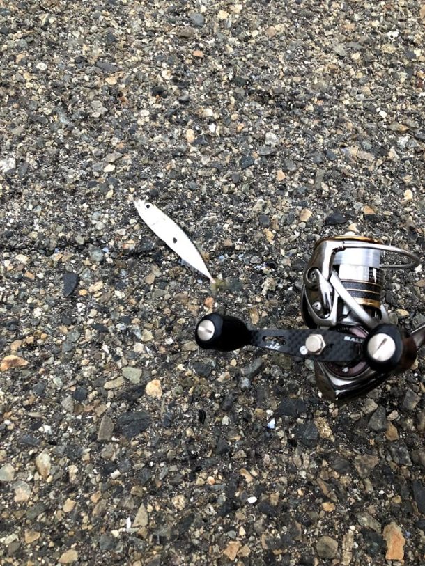 やっぱり豆サバ