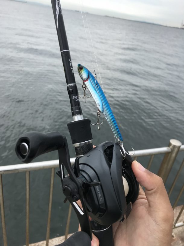 ビッグバッカー107