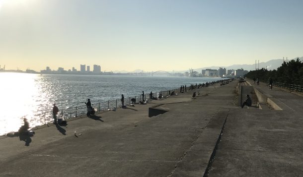 ぎっしりの芦屋浜