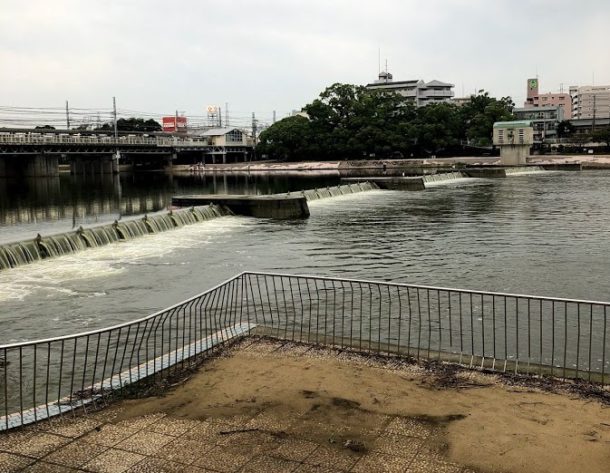 増水していい感じの川